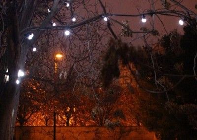 El Árbol de la Convivencia iluminó el parque
