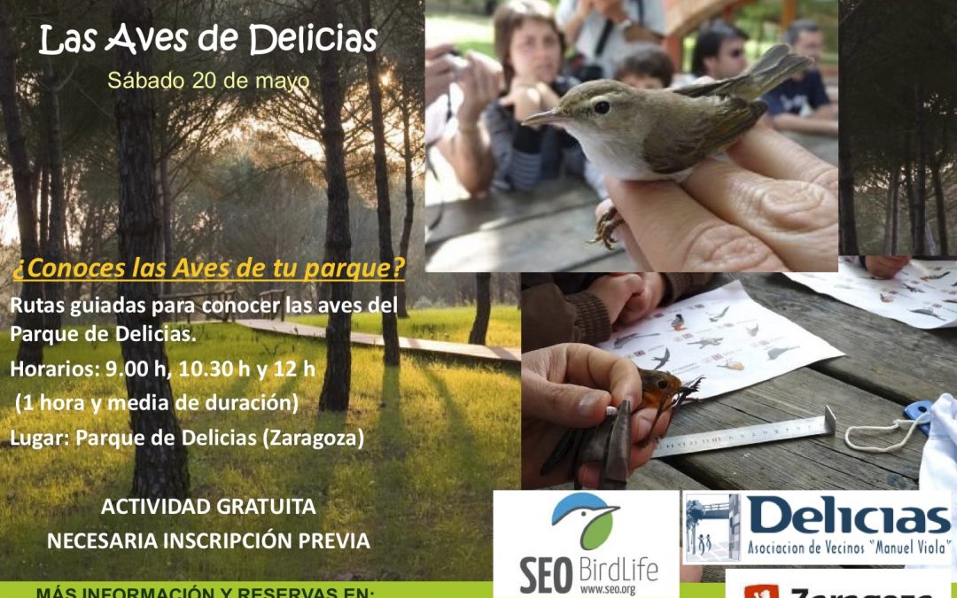 Visitas guiadas y anillamiento de aves en el Parque Delicias.
