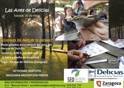 Visitas guiadas y anillamiento de aves en el Parque Delicias.