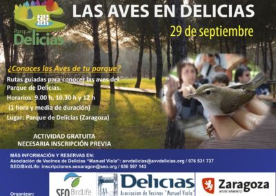 Las aves en Delicias
