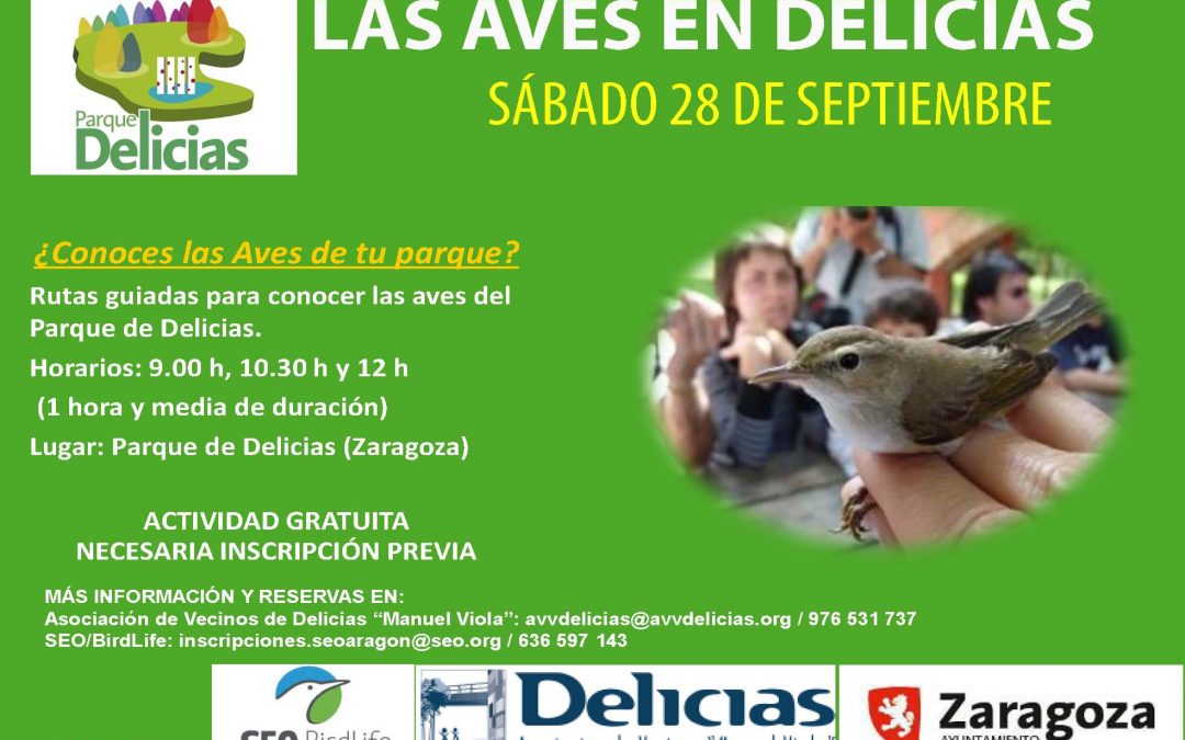 CONOCE LAS AVES DEL PARQUE DELICIAS