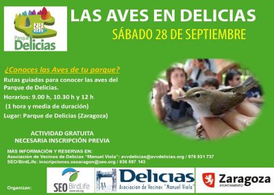 CONOCE LAS AVES DEL PARQUE DELICIAS