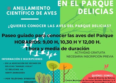 Anillamiento de Aves en el Parque Delicias