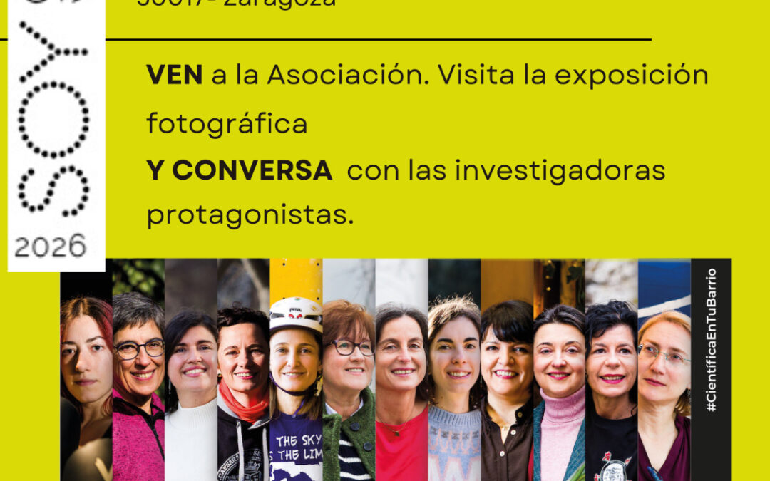 Borrador automático