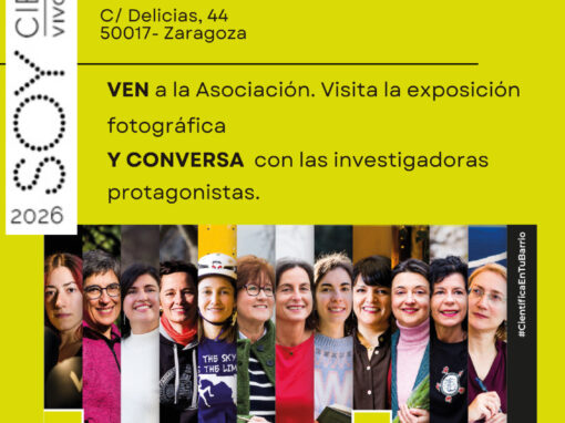 Borrador automático